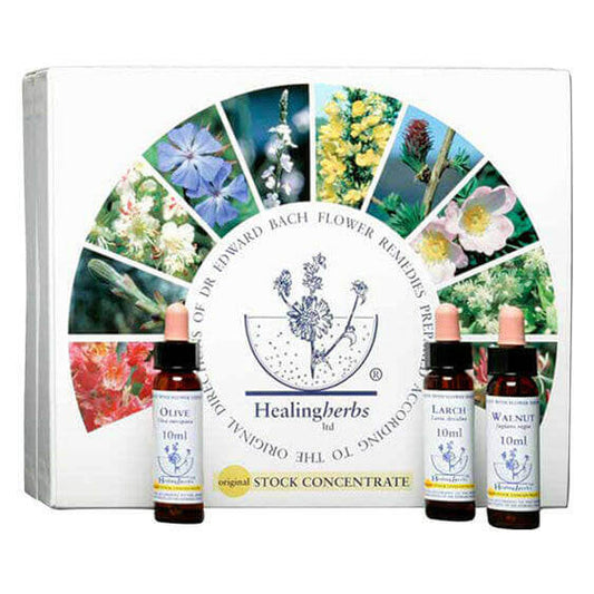 Set completo de 40 Flores de Bach de 10 ml , Healing Herbs