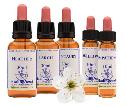 Flores de Bach de 10 ml , Healing Herbs